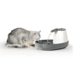 Savic Trinkbrunnen Cascade -Deutschland Hund Trockenfutter Verkaufs-Shop 015652a13201b792a2f2ee6a9e8dd8898bb9683d 8c309c40131ee8faa1171afc3e1d237432cd64c4