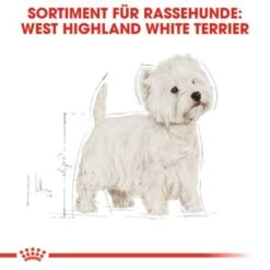 ROYAL CANIN West Highland White Terrier Adult 3 Kg -Deutschland Hund Trockenfutter Verkaufs-Shop 0667f52350b758ef015a284d5118480e95fa3389 1062013 de DE rc 2