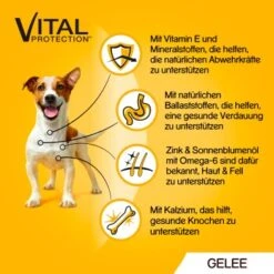 Pedigree Vital Multipack Portionsbeutel In Gelee 40x100g -Deutschland Hund Trockenfutter Verkaufs-Shop 0a8a05cf3e2550b662c3b88d4eb3c20880e13f55 1280045 de DE 5900951267833 SI1 1