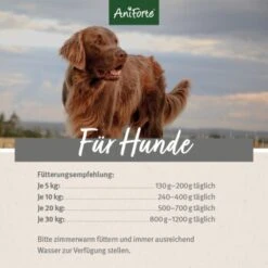 Aniforte GreenfieldTurkey Pute Mit Quinoa 2,4 Kg -Deutschland Hund Trockenfutter Verkaufs-Shop 0c11940ba6ec2b3aaafc30c07ac6a142e2e564be 1422188 de DE ecf8c646fa9f7a73ce2de360e52f7434941d6424KnjBDY
