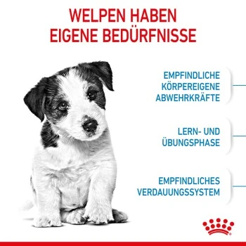 ROYAL CANIN Mini Puppy 8 Kg 7 ROYAL CANIN Mini Puppy 8 Kg – Bild 5