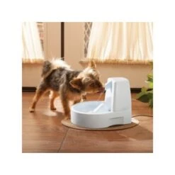 PetSafe Drinkwell Trinkbrunnen Original, 1,5 Liter 8 PetSafe Drinkwell Trinkbrunnen Original, 1,5 Liter -Deutschland Hund Trockenfutter Verkaufs-Shop 0eafb4742dba6833f9a27c15a06f970e4cd3a735 e5e9d8abdbe4501019d4b3506e15c02aeff7b01c