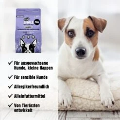 Eat Small EatSmall 2kg Mini Balance Trockenfutter -Deutschland Hund Trockenfutter Verkaufs-Shop 0eebbabe2fe031225908a7a901865914a7b0b15b 1450725 de DE 8ba3f4f1691754ebd4e1f51b5ada108265d86815YS0jvd