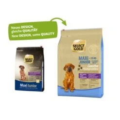 SELECT GOLD Sensitive Maxi Junior Lamm/Lachs/Kartoffel 4 Kg -Deutschland Hund Trockenfutter Verkaufs-Shop 13d7b2821f38db07d2e02507fe737c487cb22eec 1001718003 1