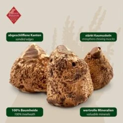 ChronoBalance Kauwurzel Baumheide (XS) 2er Paket 13 ChronoBalance Kauwurzel Baumheide (XS) 2er Paket -Deutschland Hund Trockenfutter Verkaufs-Shop 1692a418716251115199c9d234f54c25eb368478 1418712 de DE 7f5c8529b0ef5815ce0e8f89d9a5ef23e03b1c21G7Omjy