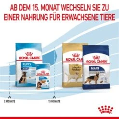 ROYAL CANIN Maxi Puppy 10x140g -Deutschland Hund Trockenfutter Verkaufs-Shop 17d6a46cce4fc07e8a098006747b779e3adfee9e 3182550402163 7
