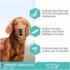 EUKANUBA Daily Care Sensible Verdauung 12 Kg -Deutschland Hund Trockenfutter Verkaufs-Shop 1a7d954ffcf2645186347fe3a5210755c5368933 4414615294b74dc58e6a1119f8cd6be9a67be173