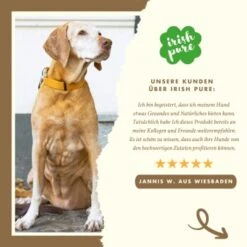 Irish Pure Senior - Huhn + Gemüse & Kelp 1,5 Kg -Deutschland Hund Trockenfutter Verkaufs-Shop 1b5db97999db98697077be24992f313d82f4d76e 1360185 de DE 6a60949f602ad007ffc74bbc89b2ad22fe586285Vkb1sk