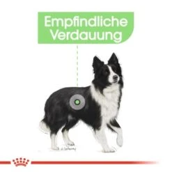 ROYAL CANIN Digestive Care Medium 12 Kg -Deutschland Hund Trockenfutter Verkaufs-Shop 1e02a6b838f0788c7a008149b787240ab36ed38b 1376251 de DE uahs 4