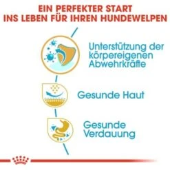 ROYAL CANIN Mops Puppy 1,5 Kg -Deutschland Hund Trockenfutter Verkaufs-Shop 1ec77d9b282b51a888ba23b88ab9ba8f49e59043 25b2c4affd986b4b4bf8d6cd25ae70e71ca39150