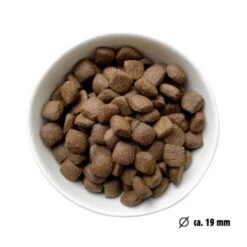 Eat Small EatSmall 2kg Maxi Active Trockenfutter 12 Eat Small EatSmall 2kg Maxi Active Trockenfutter -Deutschland Hund Trockenfutter Verkaufs-Shop 22e161dfc285ae2a6a1e5a0dc3dd026c918ef066 1450723 de DE 7be7b6abbd10a501ad4eda906b0ca458956766a1CXCEHe
