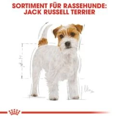 ROYAL CANIN Jack Russell Terrier Adult 7,5 Kg -Deutschland Hund Trockenfutter Verkaufs-Shop 23f4a1c361b3cd7c533f6a8a2a968ced135f4fa1 d1327eec1553ad2cb3d84080903c760dc7c2a628