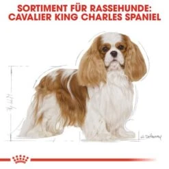 ROYAL CANIN Cavalier King Charles Adult 7,5 Kg -Deutschland Hund Trockenfutter Verkaufs-Shop 26fb77fb49f43fdcbfc1f441b42c060f542e62b2 4d6adb9557821847a7bf764c6cfa7a53274b4578
