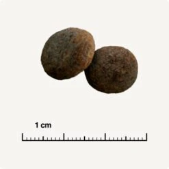 SELECT GOLD Sensitive Maxi Junior Lamm/Lachs/Kartoffel 4 Kg -Deutschland Hund Trockenfutter Verkaufs-Shop 28af395c49e943aa9ab48faf021ceebb2dad145e 1001718003 de DE 6