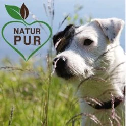 Fit-Crock Classic Lamm Mini -Deutschland Hund Trockenfutter Verkaufs-Shop 294d1cda825d170943465cbb0a88ea0e74afc0d0 1687100 de DE 5576b019e140574c03da26f1354a1c04162c365aPCJVe0