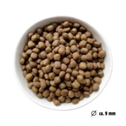 Eat Small EatSmall 2kg Mini Balance Trockenfutter -Deutschland Hund Trockenfutter Verkaufs-Shop 2fab510faabbdb321240dcdc4e2325f2c9525161 1450725 de DE ef1a1257b12edf1ce0a516e027bab83024c70daeuHLglD