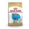 ROYAL CANIN Mops Puppy 1,5 Kg -Deutschland Hund Trockenfutter Verkaufs-Shop 312b9d11e0d60909e02e976606d89917fb1a70e6 1082869 de DE puggy