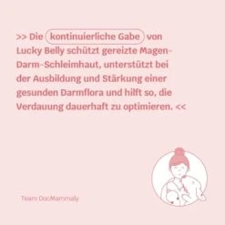 Mammaly Lucky Belly 110g 14 Mammaly Lucky Belly 110g -Deutschland Hund Trockenfutter Verkaufs-Shop 325f9b0871fd1543d080de0392bb186d73857989 1472889 1