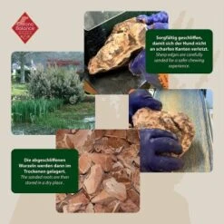 ChronoBalance Kauwurzel Baumheide (S) 2er Paket 10 ChronoBalance Kauwurzel Baumheide (S) 2er Paket -Deutschland Hund Trockenfutter Verkaufs-Shop 337f42f7f9e26434f99a76b1eb1228e2cb3c330b 1418713 de DE ba8b2a31068658c9820512bd79f25900dbe0cd09dhzOS0