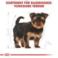 ROYAL CANIN Yorkshire Terrier Puppy 1,5 Kg -Deutschland Hund Trockenfutter Verkaufs-Shop 3810ae0a6a04bd78bbca7a7651da4efb954d4b3e 3e3986d33b213064868087e6e9dec0e6991e12be
