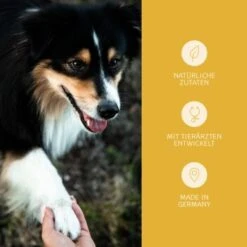 Mammaly Immu Push 110g 14 Mammaly Immu Push 110g -Deutschland Hund Trockenfutter Verkaufs-Shop 38b7917670f59d2a88ff5d6635a04535121b1ee9 1472893 5