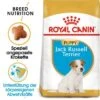 ROYAL CANIN Jack Russel Terrier Puppy 1,5kg -Deutschland Hund Trockenfutter Verkaufs-Shop 38eb9be6c5b1ff0ed67f9a6046499c0ea26ec793 4aa5e32ecc3d8f4971ae38edd86bcabaffb97a59