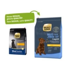 SELECT GOLD Complete Maxi Junior Huhn 4 Kg -Deutschland Hund Trockenfutter Verkaufs-Shop 3acb347042e475ac57e9826941a997b8e515d248 1001478001 1