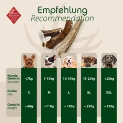 ChronoBalance Geweih Ganz (L) 2er Paket -Deutschland Hund Trockenfutter Verkaufs-Shop 3af42459689a70b0810cc72bbff9c4db0a205e81 1418692 de DE 4d92c5e784cdd8d6b1d665763cb1e2f4941e0be4j1XBVu