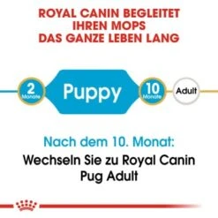 ROYAL CANIN Mops Puppy 1,5 Kg -Deutschland Hund Trockenfutter Verkaufs-Shop 3af85b5d68e2a2d838baf46d348bcc6f5c8cb3c0 9dd5ef32b5081e96ebcb60ff0f9e0f454f14f3ae