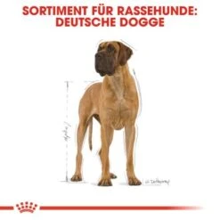 ROYAL CANIN Deutsche Dogge Adult 12 Kg -Deutschland Hund Trockenfutter Verkaufs-Shop 3b2e2b76f77a85e7a2e2e3760f4acf201582be79 91fbd3cfc727b41692ded4aa1c29adb0f8bf3146