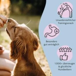 FAVLY Petfood Nature Cookies Pute 360 G -Deutschland Hund Trockenfutter Verkaufs-Shop 3c4584472c13d10f5e19d1e9ef96341ca6dec3b2 1474002 de DE 301bd8d5aa99f57312b9f6bf9f09f0b879ce5f08YRbuxr