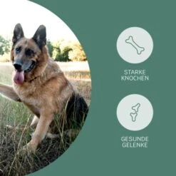 Mammaly Happy Hips 110g -Deutschland Hund Trockenfutter Verkaufs-Shop 3c8bff51a0475eda30226950bbfaf91b8c4d5bf4 1472886 1 3