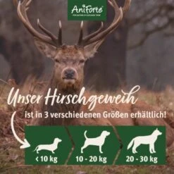 Aniforte Hochland Hirschgeweih Large -Deutschland Hund Trockenfutter Verkaufs-Shop 3cab0c2a9a40fa69c6baa9462d2c427111f5d162 1656976 de DE 9df8abb4136ad17da5ccc2819c2badee45fc5055BiKyIN