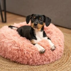 Lionto Donutbett Rosa S 12 Lionto Donutbett Rosa S -Deutschland Hund Trockenfutter Verkaufs-Shop 451fac77ca1863101f8c893b9c4bce1d9a6bd85e 1642102 de DE 7d6260ba57d59e743f4f96e105ac1b9e95578e8fe21kjL