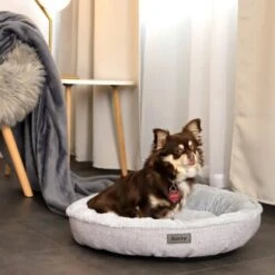 Lionto Rundes Hundebett Grau S -Deutschland Hund Trockenfutter Verkaufs-Shop 495319c5e5d302912b44d9c5eec4bf5d9f8545a8 1657076 de DE aa318acd7ce25545f999031d1739d15f3d8316c0wpiYjz