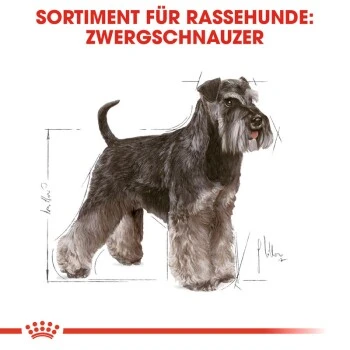 ROYAL CANIN Zwergschnauzer Adult 3kg 6 ROYAL CANIN Zwergschnauzer Adult 3kg – Bild 4