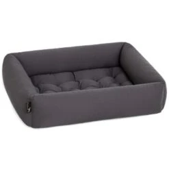 Pointer Liegeplatz Anthrazit M -Deutschland Hund Trockenfutter Verkaufs-Shop 4cbbec70ff042418c2fdd3c9a0777d14061d43c6 92673d84ef614c119c0cf94c6a7e282b1ee2c43e