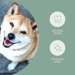 Mammaly Fresh Smile 110g -Deutschland Hund Trockenfutter Verkaufs-Shop 4dfc3b5d73dfa91add91c3411ca4723de71754ed 1472885 3