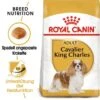 ROYAL CANIN Cavalier King Charles Adult 7,5 Kg -Deutschland Hund Trockenfutter Verkaufs-Shop 4eff16e8593dc9d63fcf3f9ffaa5cffe076cc3c6 d0264a712bff8def979cbb5123cf013f72553207