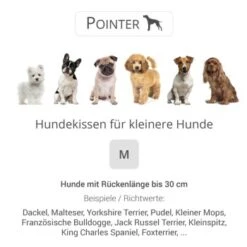 Pointer Liegekissen Urban Anthrazit M -Deutschland Hund Trockenfutter Verkaufs-Shop 502aeef21c2250758631d62fea8e14cfcce727cd d0b64f8d293f427defce0ae979b315b741ab9e51