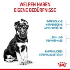 ROYAL CANIN Maxi Puppy 10x140g -Deutschland Hund Trockenfutter Verkaufs-Shop 520cede8431c2f7bd9b6dfd8e89114d545b17958 3182550402163 4