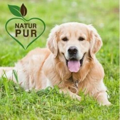 Fit-Crock Classic Lamm Maxi -Deutschland Hund Trockenfutter Verkaufs-Shop 572aa89bc910e31893995e44aa05ef340fdfa24c 1687099 de DE f696ec27369198bd4394c88715b6b073e090c44aFcn83B