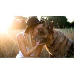 Mammaly Lucky Belly 110g 12 Mammaly Lucky Belly 110g -Deutschland Hund Trockenfutter Verkaufs-Shop 5a807df878e131f7784ceaf9042f54c56ded6f60 1472889 6