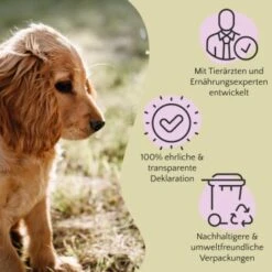 FAVLY Petfood PURE Bites Lamm 360 G 13 FAVLY Petfood PURE Bites Lamm 360 G -Deutschland Hund Trockenfutter Verkaufs-Shop 5d7b6f7ff0cad3d69d8328aff31a8cc220780e0f 1474004 de DE cfc8e2f3174986d5e2d5f456c501da9d9b200fe9C0H0tH