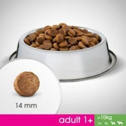 PERFECT FIT Adult 1+ Huhn M/L 6kg -Deutschland Hund Trockenfutter Verkaufs-Shop 60a46bf0c36b4d08300c5be02ab247fcab8c8c4b 1342010 de DE Foodshot 3