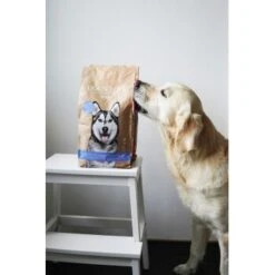 DOG'S LOVE Adult Lachs Mit Forelle 2 Kg -Deutschland Hund Trockenfutter Verkaufs-Shop 6189d19edbfaa1b11ccc958ca46f85790cdfbd85 1390303 1