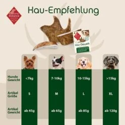 ChronoBalance Kaugeweih Damhirsch (S) 2er Paket -Deutschland Hund Trockenfutter Verkaufs-Shop 66dad232a7a3277a8c2b14c2f9028958861bcd91 1418695 de DE 9d0fae21483906190d35a659049e257a0043b15en4pXJB