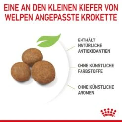 ROYAL CANIN Maxi Puppy 10x140g -Deutschland Hund Trockenfutter Verkaufs-Shop 6723f14d5672858ba8db8638c69d0eba948bb8dd 3182550402163 6