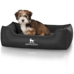 Knuffelwuff Kunstleder Hundebett Sidney Schwarz M-L 9 Knuffelwuff Kunstleder Hundebett Sidney Schwarz M-L -Deutschland Hund Trockenfutter Verkaufs-Shop 677fe9397b92e256a9a46cd350526580d9531ccc 1411807 de DE 5e4d8fd1cc91ce066e2e41658603619b12254f9fKu34Ll