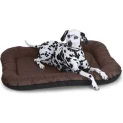 Knuffelwuff Wasserfestes In Und Outdoor Hundebett Lucky Aus Nylongewebe Braun L 9 Knuffelwuff Wasserfestes In Und Outdoor Hundebett Lucky Aus Nylongewebe Braun L -Deutschland Hund Trockenfutter Verkaufs-Shop 6783d4b4486968313387c4f84d58f43745f1a98a 1412280 de DE c74c650ca2b7e352a27e1b6a3687896ed8227503mfmsuV